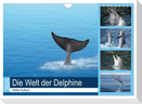 Die Welt der Delphine (Wandkalender 2025 DIN A4 quer), CALVENDO Monatskalender
