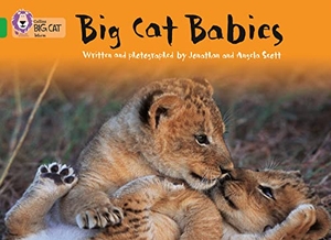 Scott, Angela / Jonathan Scott. Big Cat Babies - Band 05/Green. HarperCollins UK, 2005.