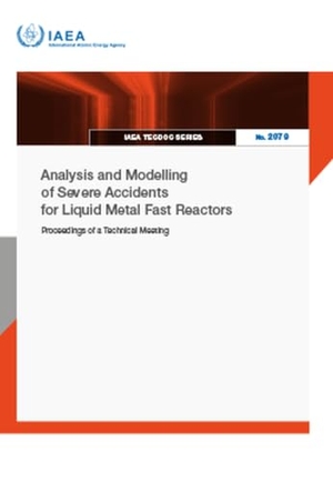 International Atomic Energy Agency. Analysis and Modelling of Severe Accidents for Liquid Metal Fast Reactors. Mare Nostrum, 2026.