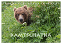 Aug in Aug mit den Braunbären in Kamtschatka (Tischkalender 2024 DIN A5 quer), CALVENDO Monatskalender