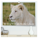 SÜDAFRIKAS Weiße Löwen (hochwertiger Premium Wandkalender 2024 DIN A2 quer), Kunstdruck in Hochglanz