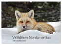 Wildtiere Nordamerikas (Wandkalender 2025 DIN A2 quer), CALVENDO Monatskalender