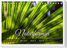Naturformen, Blatt, Holz, Fels (Tischkalender 2024 DIN A5 quer), CALVENDO Monatskalender