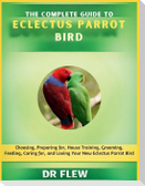 The Complete Guide to Eclectus Parrot Bird