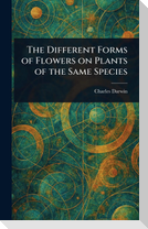 The Different Forms of Flowers on Plants of the Same Species