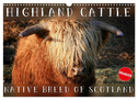 Highland Cattle - Native Breed of Scotland (Wall Calendar 2025 DIN A3 landscape), CALVENDO 12 Month Wall Calendar