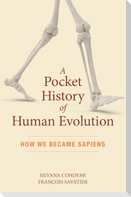 A Pocket History of Human Evolution