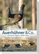Auerhühner & Co.