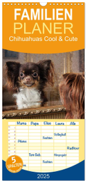 Familienplaner 2025 - Chihuahuas - Cool and Cute mit 5 Spalten (Wandkalender, 21 x 45 cm) CALVENDO