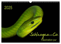 Schlangen und Co. - Faszination pur (Wandkalender 2025 DIN A3 quer), CALVENDO Monatskalender