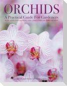 Orchids