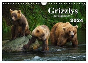 Steinwald, Max. Grizzlys - Der Kalender (Wandkalender 2024 DIN A4 quer), CALVENDO Monatskalender - Grizzlybären - ein Fotoshooting in der Wildnis Alaskas. Calvendo Verlag, 2023.
