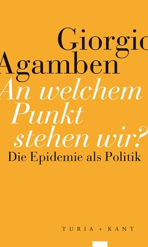 Agamben, Giorgio. An welchem Punkt stehen wir? - Die Epidemie als Politik. Turia + Kant, Verlag, 2021.