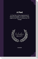 A Pied: Le Tour De La Terre, Impressions Et Notes De Voyages. À Travers Le Sud-Algérien (De Paris À Tombouctou). 3E Voyage