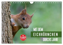 Mit dem Eichhörnchen durchs Jahr (Wandkalender 2024 DIN A4 quer), CALVENDO Monatskalender