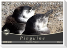 Magellan-Pinguine (Tischkalender 2024 DIN A5 quer), CALVENDO Monatskalender