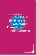 Einführung in systemische Konzepte der Selbststeuerung
