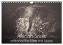 African Souls - afrikanische Tiere mit Seele (Wandkalender 2025 DIN A4 quer), CALVENDO Monatskalender