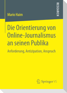 Die Orientierung von Online-Journalismus an seinen Publika