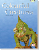 Bug Club Independent Non Fiction Year Two Orange B Colourful Creatures
