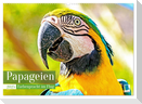 Papageien: Farbenpracht im Flug (Wandkalender 2025 DIN A2 quer), CALVENDO Monatskalender