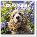 Cocker Spaniels - Cocker Spaniel 2027 - 16-Monatskalender