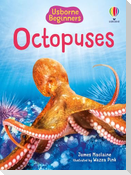 Octopuses (Usborne Beginners)
