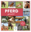 Pferd gesucht!