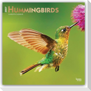 Hummingbirds - Kolibris 2027 - 16-Monatskalender