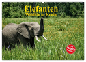 Elefanten . Wildlife in Kenia (Wandkalender 2025 DIN A2 quer), CALVENDO Monatskalender