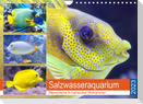 Salzwasseraquarium. Meeresfische im heimischen Wohnzimmer (Wandkalender 2023 DIN A4 quer)