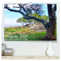 Uruguay - Bienvenido al Río de la Plata (hochwertiger Premium Wandkalender 2024 DIN A2 quer), Kunstdruck in Hochglanz
