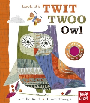Reid, Camilla. Look, It's Twit Twoo Owl. Nosy Crow Ltd, 2022.