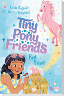 Tiny Pony Friends: Best Friends