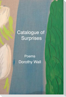 Catalogue of Surprises