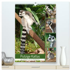 Kleemann, Claudia. Putzige Kattas (hochwertiger Premium Wandkalender 2024 DIN A2 hoch), Kunstdruck in Hochglanz - Niedliche Lemuren aus Madagaskar. Calvendo, 2023.