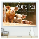 Korsika - süße, wilde Schweinchen (hochwertiger Premium Wandkalender 2024 DIN A2 quer), Kunstdruck in Hochglanz