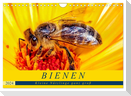 BIENEN - Kleine Nützlinge ganz groß (Wandkalender 2024 DIN A4 quer), CALVENDO Monatskalender