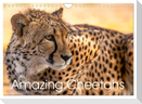 Amazing Cheetahs (Wall Calendar 2025 DIN A4 landscape), CALVENDO 12 Month Wall Calendar