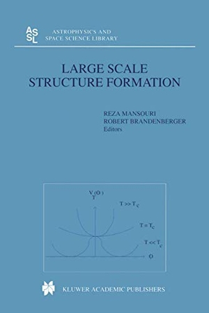 Brandenberger, Robert / Reza Mansouri (Hrsg.). Large Scale Structure Formation. Springer Netherlands, 2000.