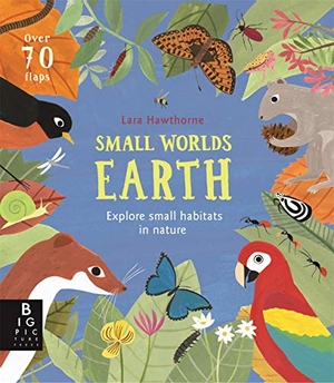 Bedoyere, Camilla De La. Small Worlds: Earth. Templar Books, 2020.