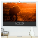 Löwen Wildlife-Fotografien (hochwertiger Premium Wandkalender 2024 DIN A2 quer), Kunstdruck in Hochglanz