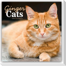 Ginger Cats - Rothaarige Katzen 2027 - Wand-Kalender