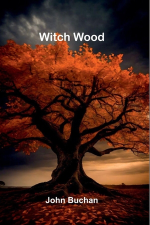 Buchan, John. Witch Wood. Alpha Edition, 2026.