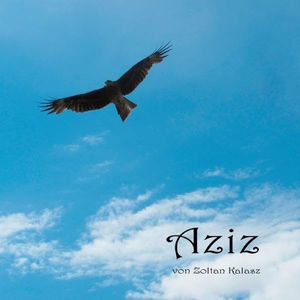 Kalasz, Zoltan. Aziz. Books on Demand, 2017.