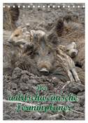 Der wildschweinische Terminplaner (Tischkalender 2025 DIN A5 hoch), CALVENDO Monatskalender