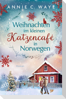 Weihnachten im kleinen Katzencafé in Norwegen