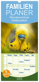 Familienplaner 2025 - Wunderschöner Wellensittich mit 5 Spalten (Wandkalender, 21 x 45 cm) CALVENDO
