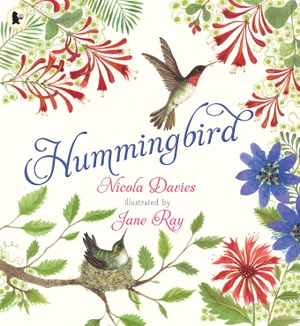 Davies, Nicola. Hummingbird. Walker Books Ltd, 2024.
