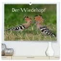 Der Wiedehopf (hochwertiger Premium Wandkalender 2024 DIN A2 quer), Kunstdruck in Hochglanz